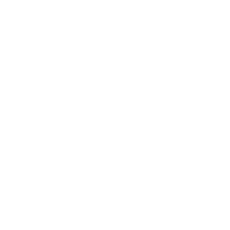Cortex Code