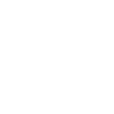 Cost & Performance Optimizer-2